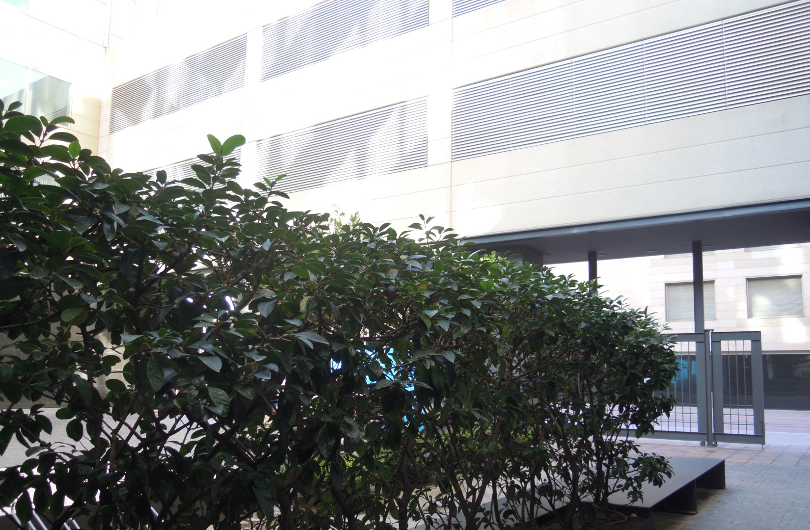 Descripción ALT slide 3