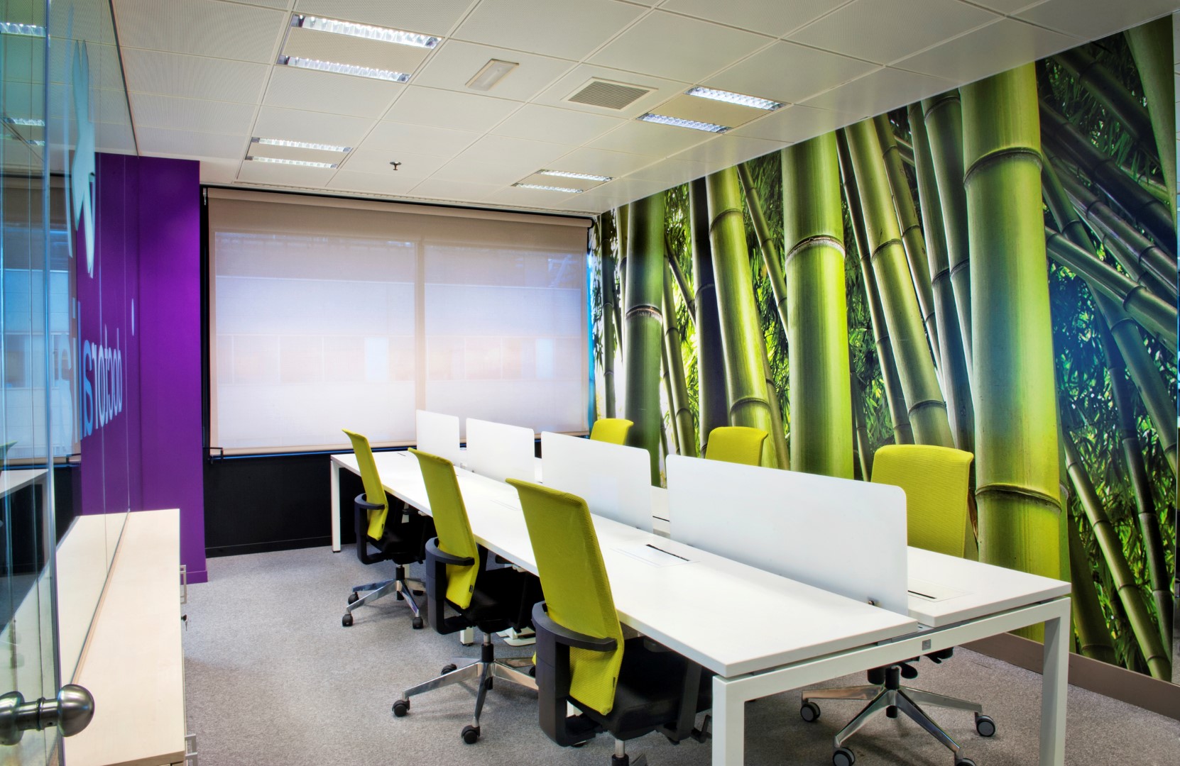 Descripción ALT slide 3