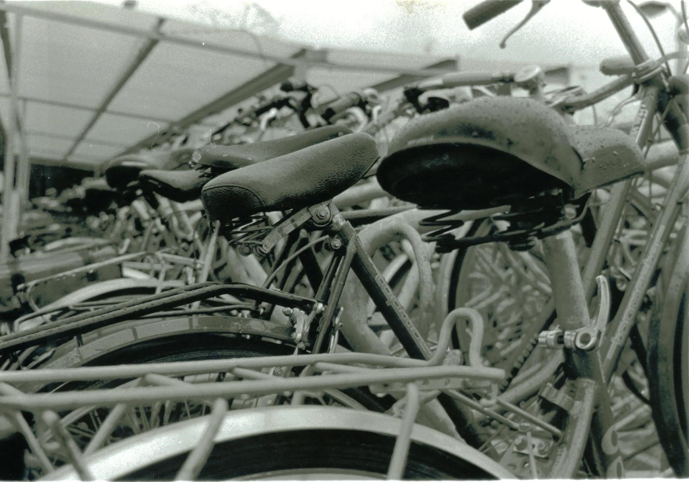 Descripción ALT slide 3